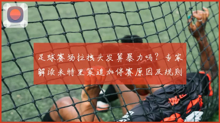 足球赛场拉拽头发算暴力吗？专家解读米特里策追加停赛原因及规则
